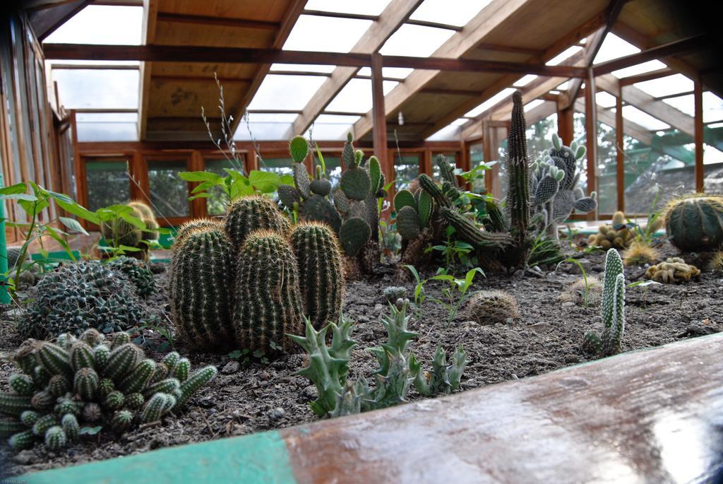 Hosteria Mandala Puerto López Exteriör bild